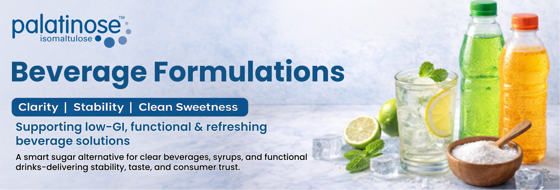 Palatinose in Functional Nutrition and Beverage Applications